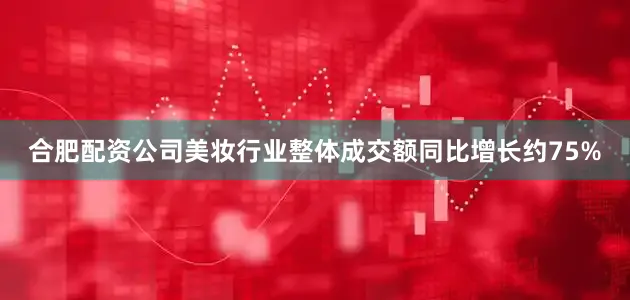 合肥配资公司美妆行业整体成交额同比增长约75%