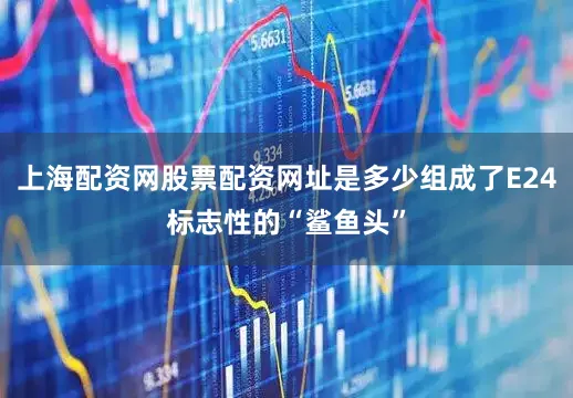 上海配资网股票配资网址是多少组成了E24标志性的“鲨鱼头”