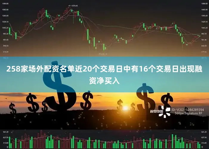 258家场外配资名单近20个交易日中有16个交易日出现融资净买入