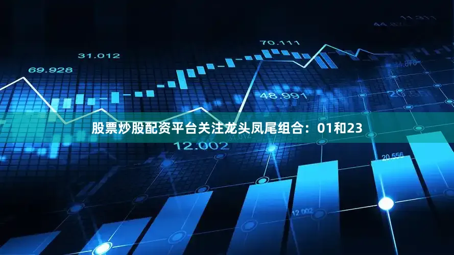股票炒股配资平台关注龙头凤尾组合：01和23