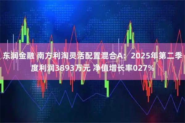 东润金融 南方利淘灵活配置混合A：2025年第二季度利润3893万元 净值增长率027%