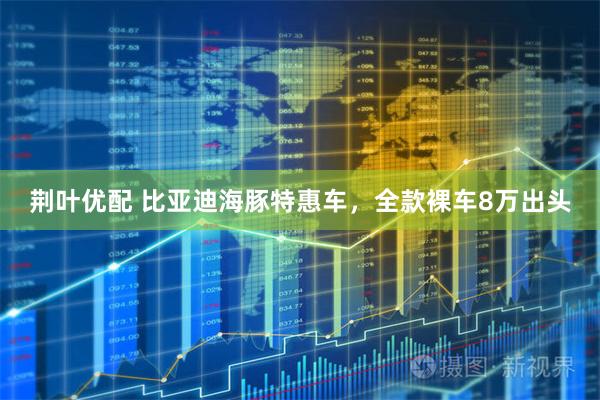 荆叶优配 比亚迪海豚特惠车，全款裸车8万出头