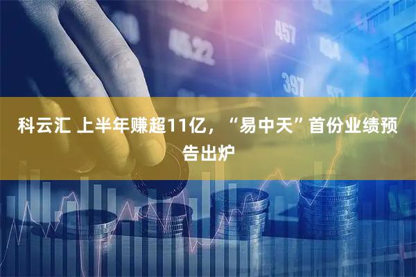 科云汇 上半年赚超11亿，“易中天”首份业绩预告出炉