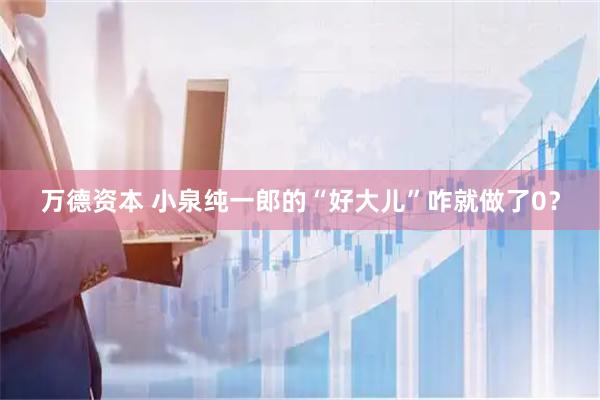 万德资本 小泉纯一郎的“好大儿”咋就做了0？